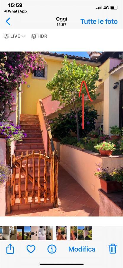 Apartmán Casa Di Alba Cannigione Exteriér fotografie